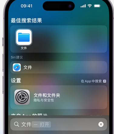 连城apple维修中心分享iPhone文件应用中存储和找到下载文件 