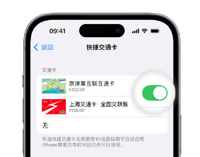 连城apple维修点分享iPhone上更换Apple Pay快捷交通卡手绘卡面 