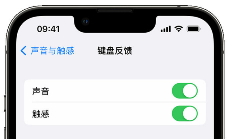 连城苹果手机维修分享iPhone 14触感键盘使用方法 