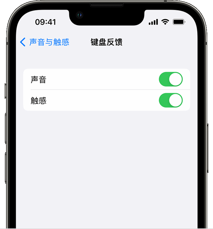 连城苹果14维修店分享如何在 iPhone 14 机型中使用触感键盘 