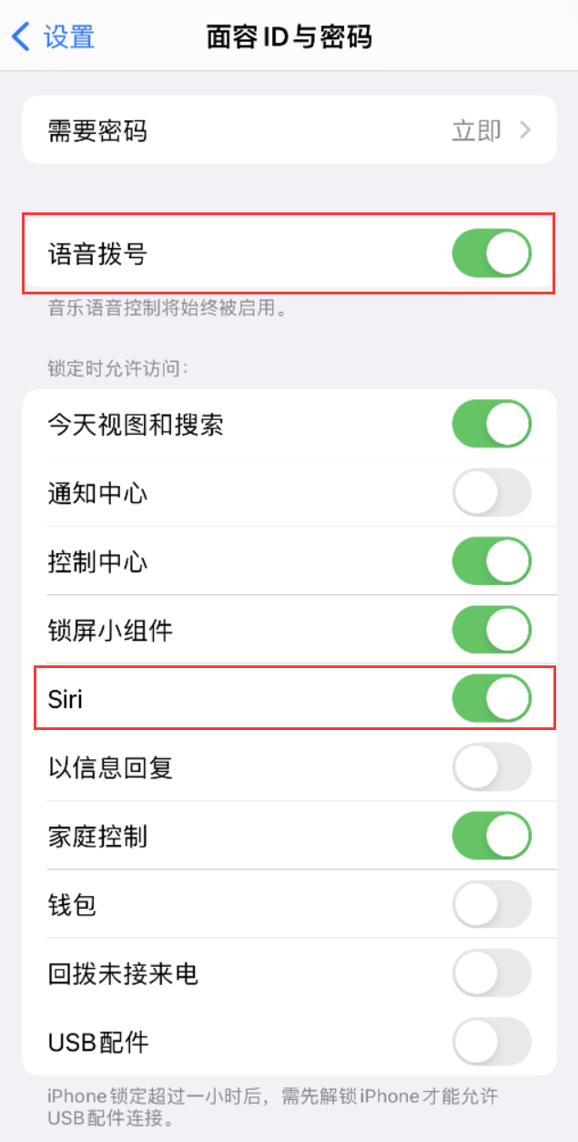 连城苹果维修网点分享不解锁 iPhone 的情况下通过 Siri 拨打电话的方法 