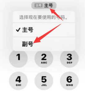 连城苹果14维修店分享iPhone 14 Pro Max使用副卡打电话的方法 