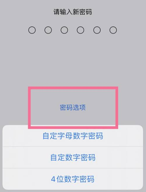 连城苹果14维修分享iPhone 14plus设置密码的方法 