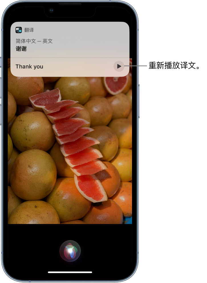 连城苹果14维修分享 iPhone 14 机型中使用 Siri：了解 Siri 能帮你做什么 