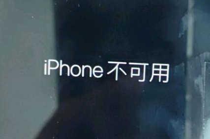 连城苹果服务网点分享锁屏界面显示“iPhone 不可用”如何解决 