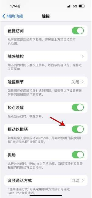 连城苹果手机维修分享iPhone手机如何设置摇一摇删除文字 