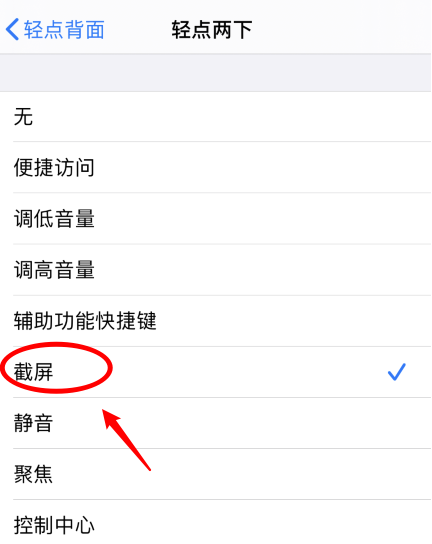 连城苹果手机维修分享iPhone12如何启用双击截屏 