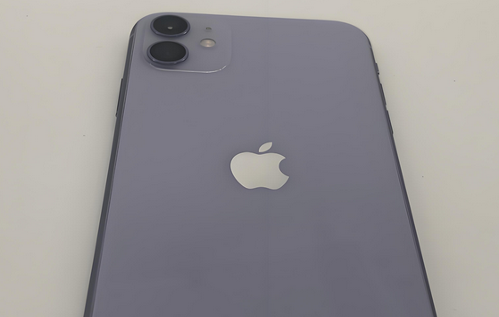 连城苹果11系统维修分享iPhone11手机系统崩溃无法开机如何解决 